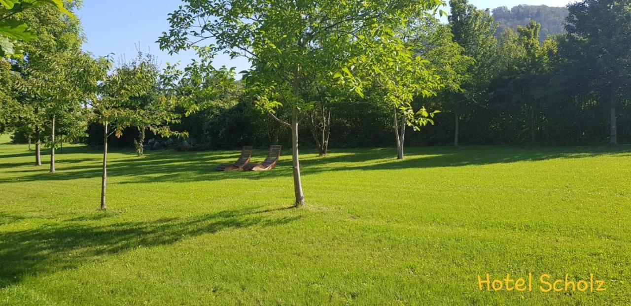 Einzelzimmer mit Gartenblick