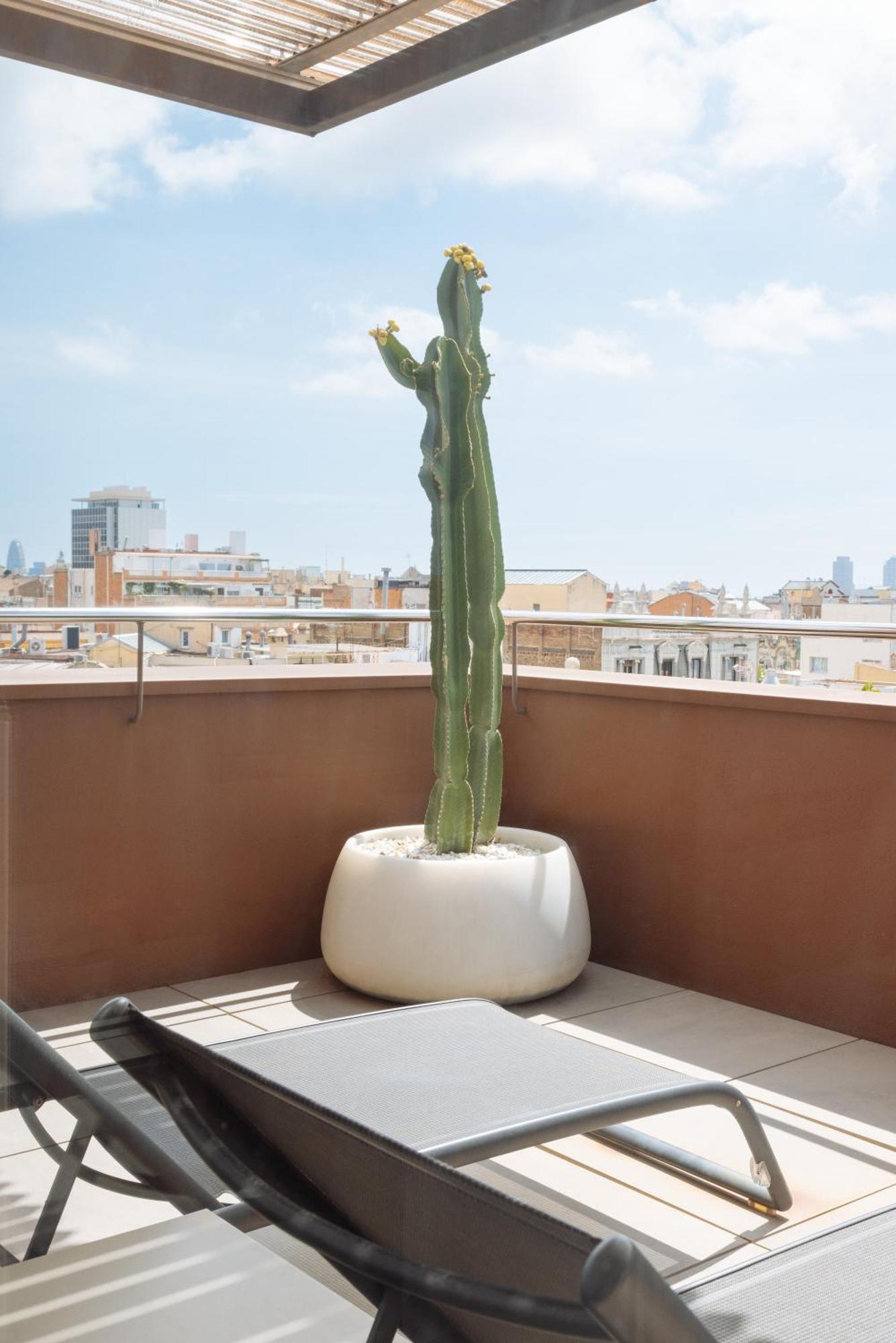 Privilege Doppelzimmer mit Terrasse