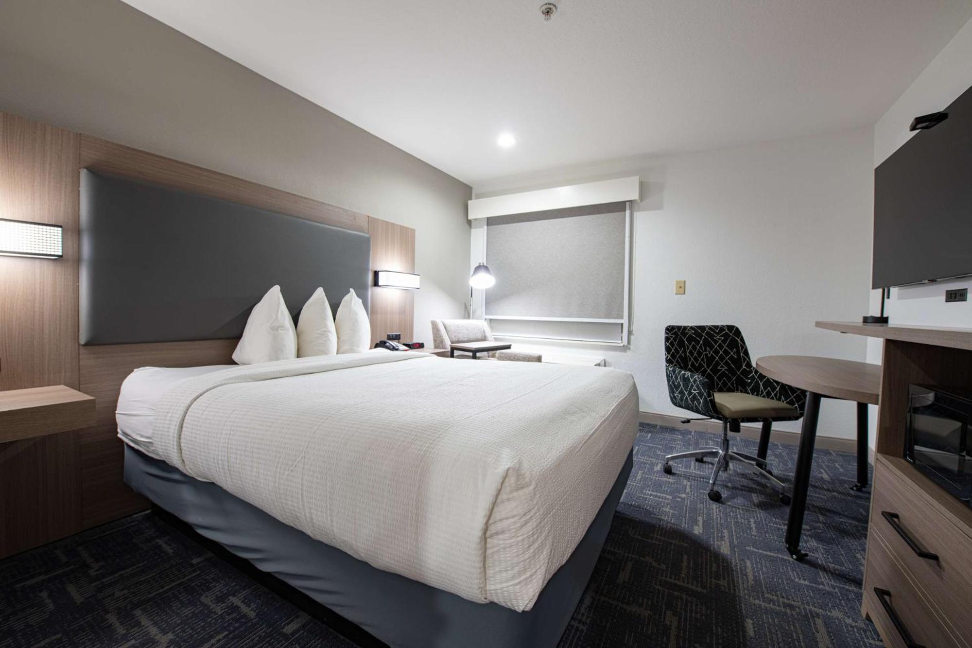 Queen Room Roll Shower ADA