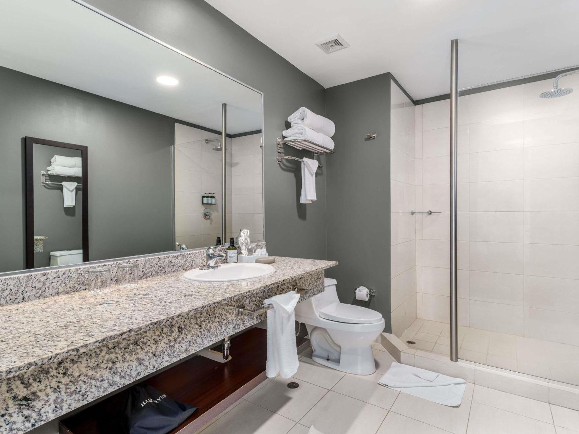 Superior Suite with One King Bed