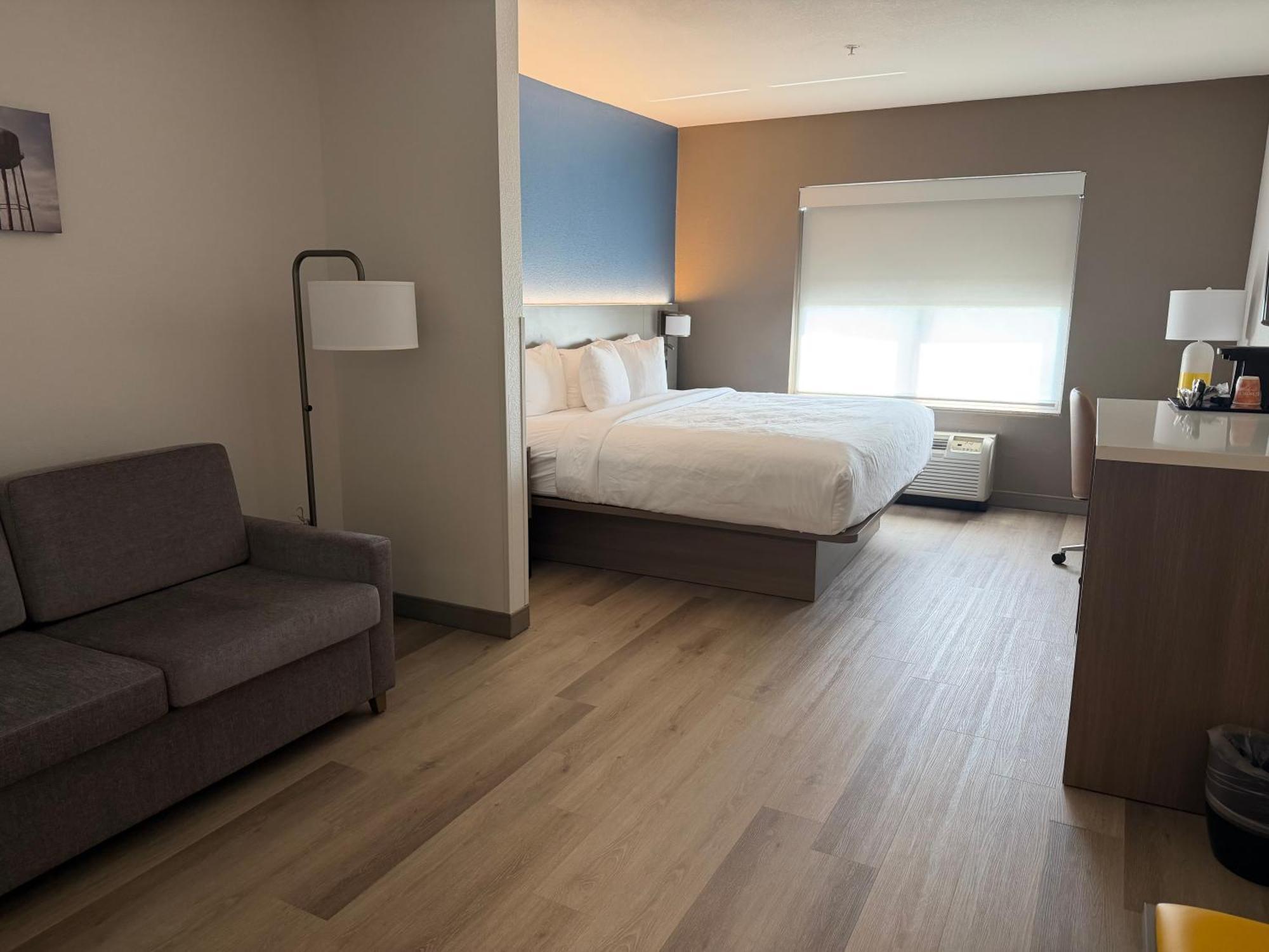One-Bedroom King Suite with Sofa Bed - Non-Smoking