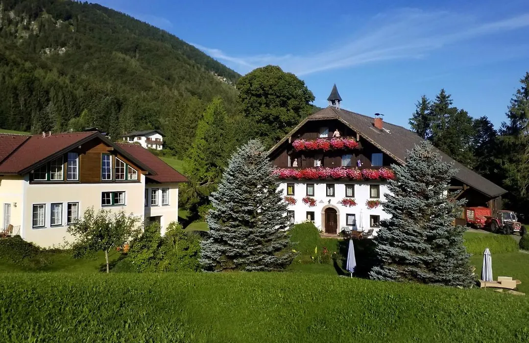 Pension Hohenau-1