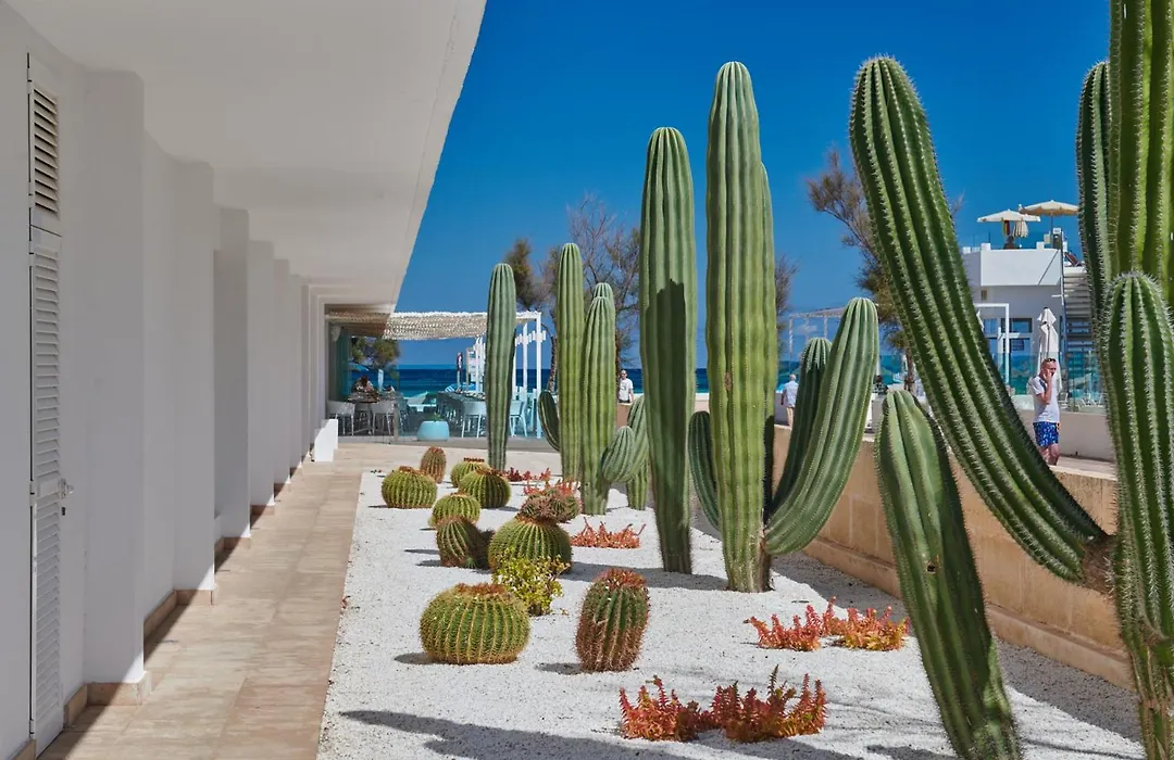 The Sea Hotel By Grupotel - Adults Only-1