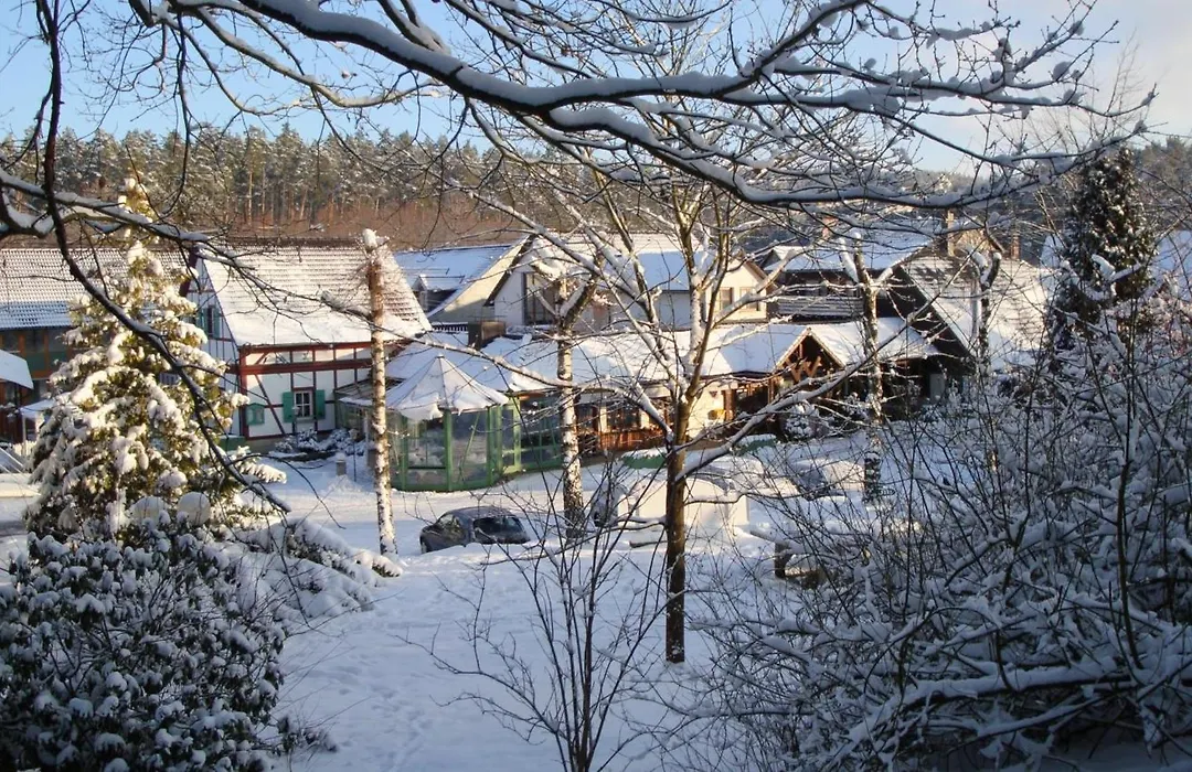 Waldhotel Bächlein-1