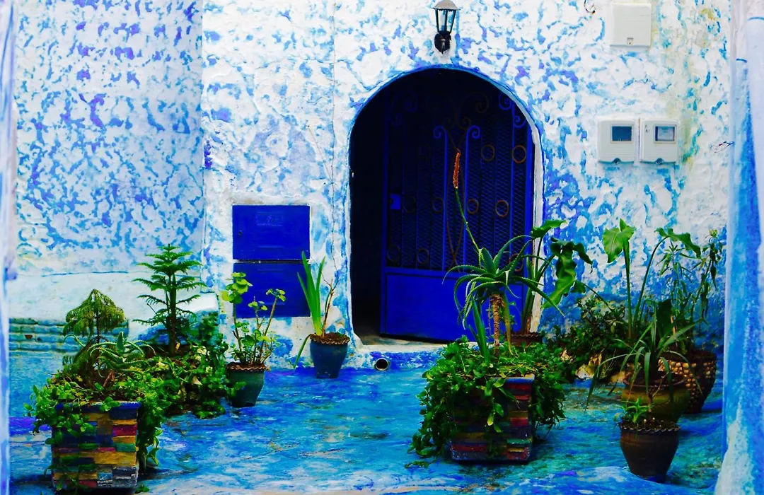 Casa Malek-1