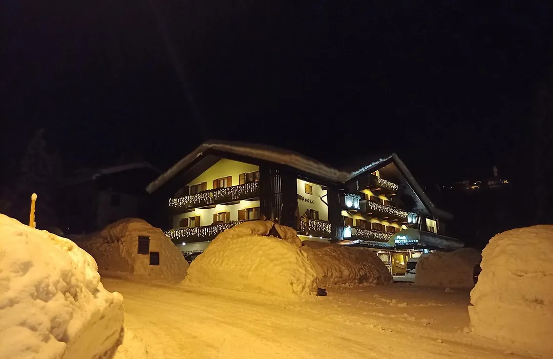 Park Hotel Arnica-1