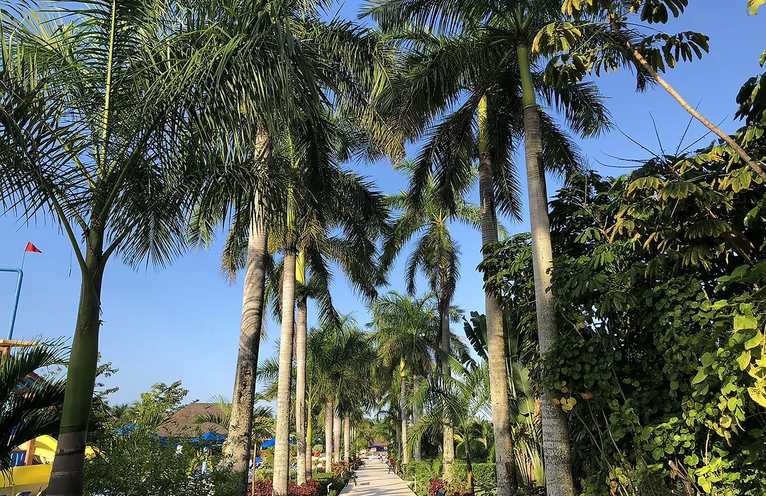 Allegro Cozumel All-Inclusive-1