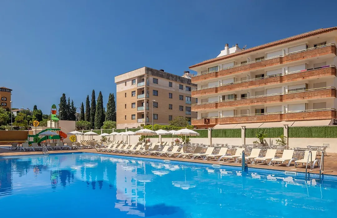 Htopbliss Amatista-1