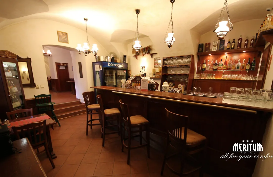 Hotel Meritum-1