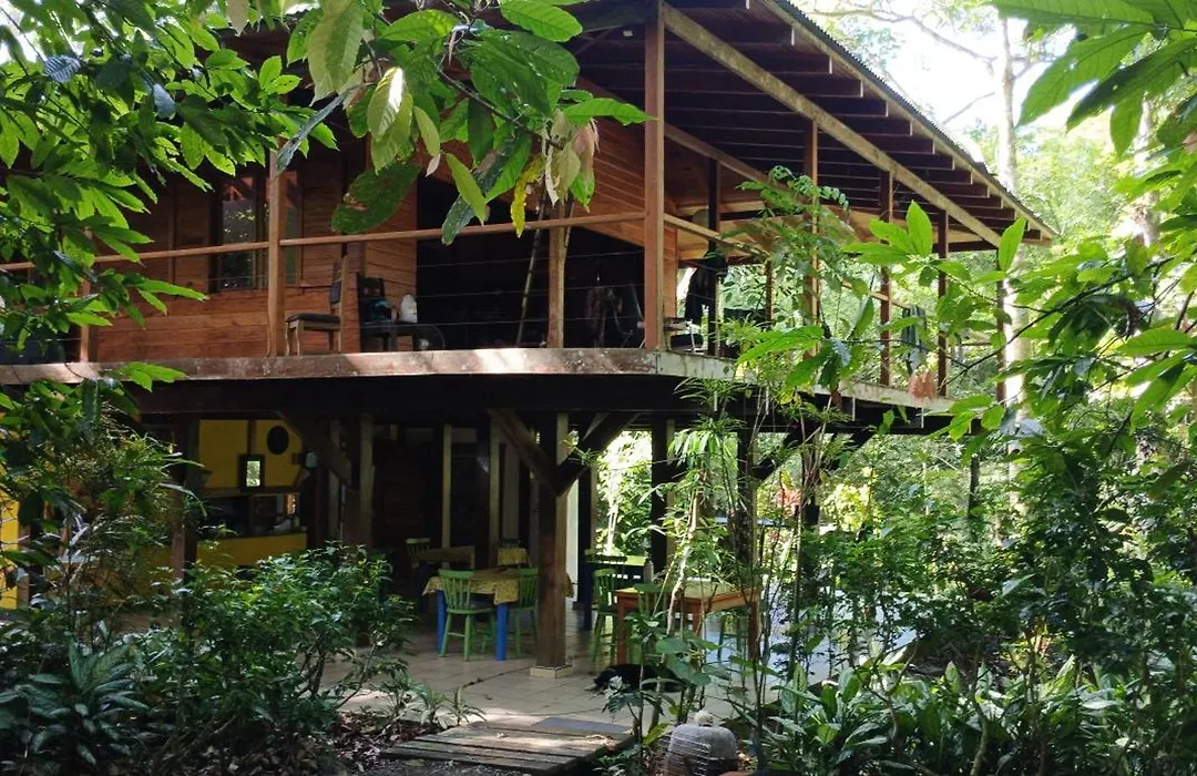 El Tucan Jungle Lodge-1