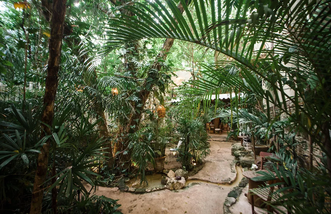 Hotel La Semilla A Member Of Design Hotels (Adults Only)-1