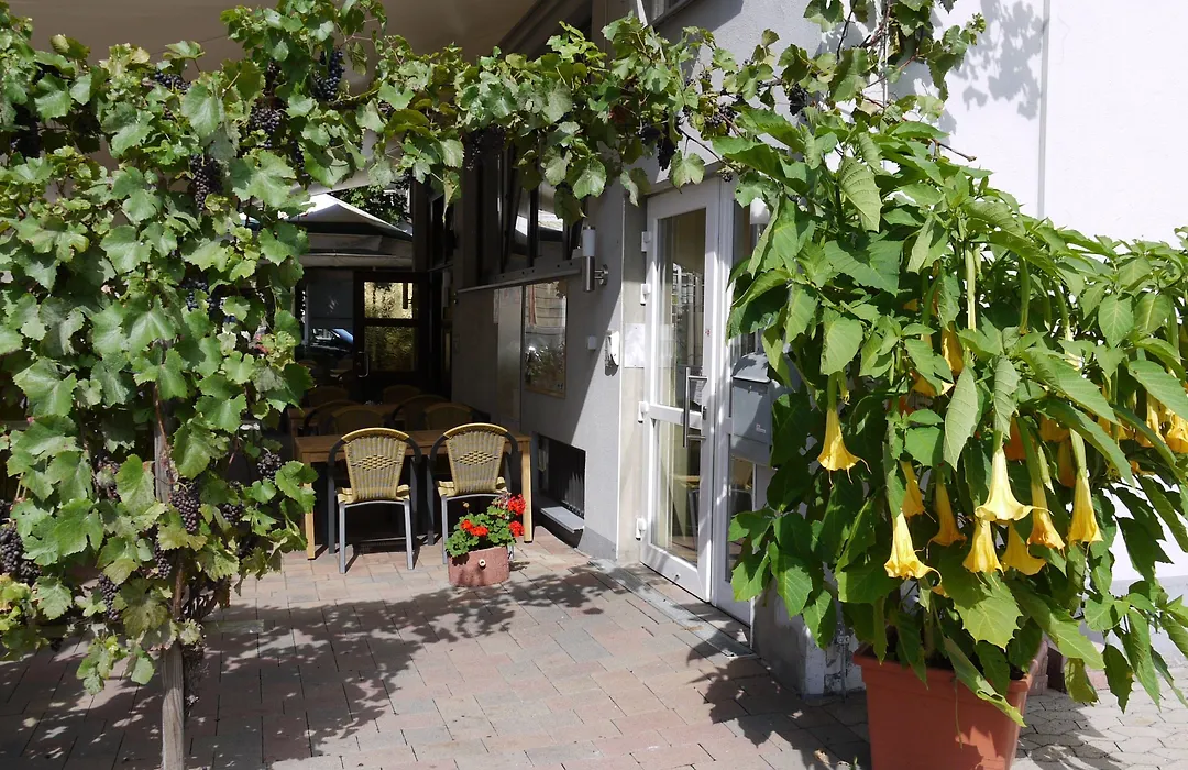 Hotel Pinger-1