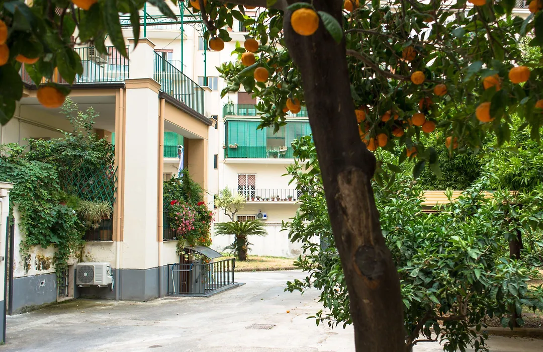 B&B Il Nido-1