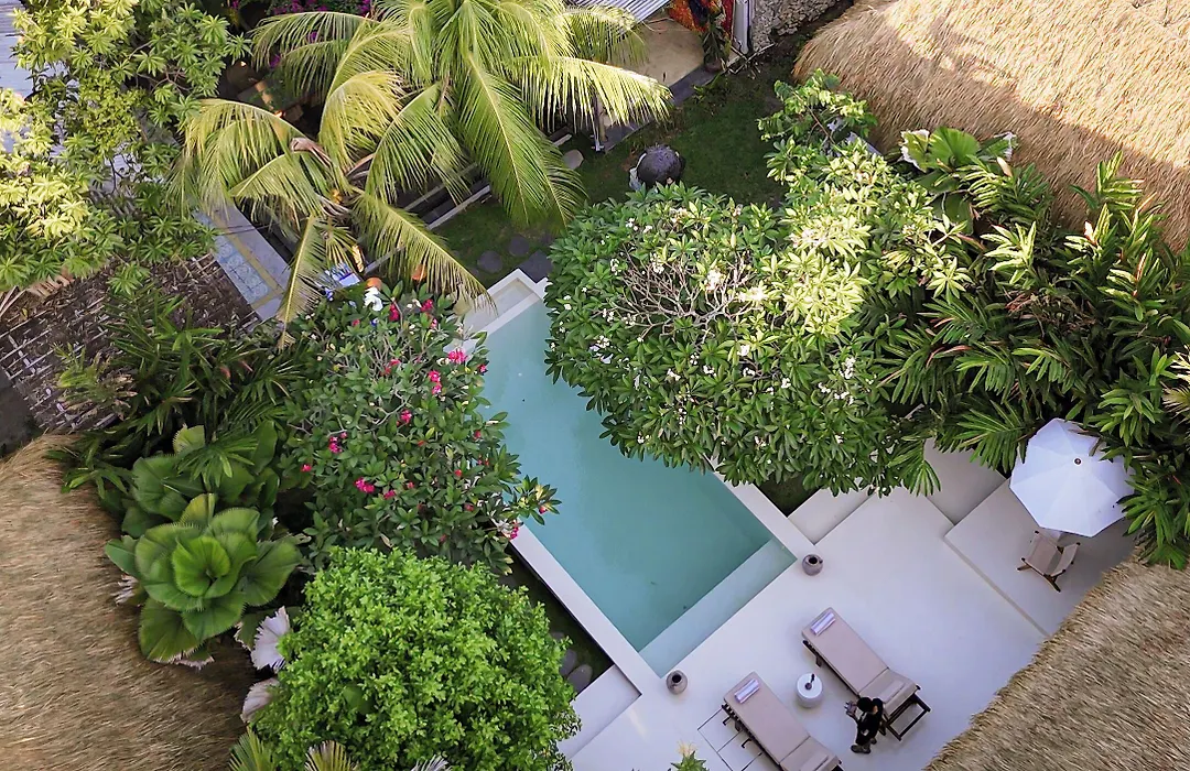 Liv Canggu - An Urban Sanctuary-1