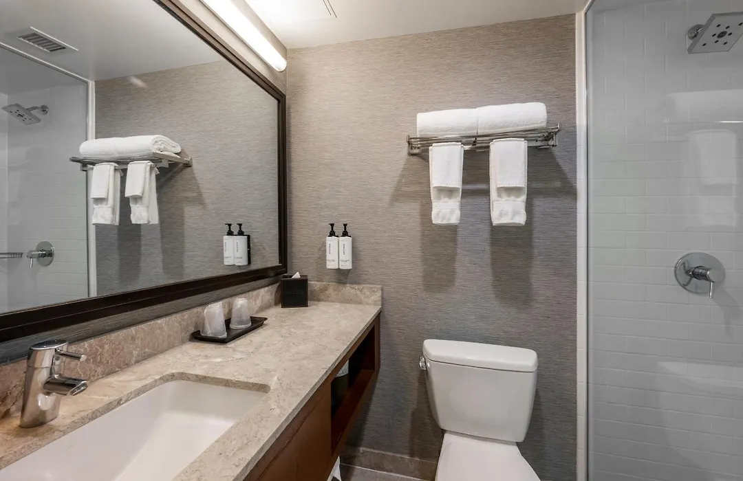 Distrikt Hotel New York City, Tapestry Collection By Hilton-1