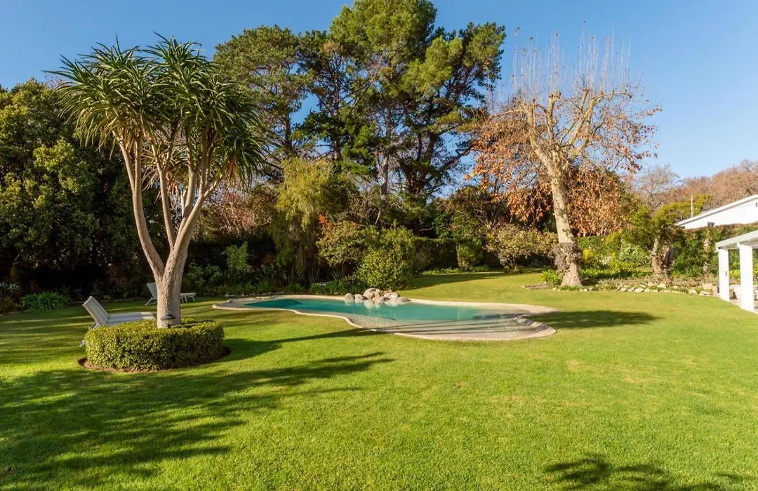 Beluga Of Constantia Guest House-1