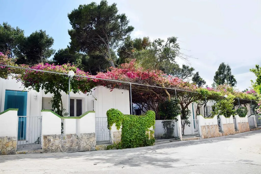 Camping Villaggio Pineta Al Mare-1