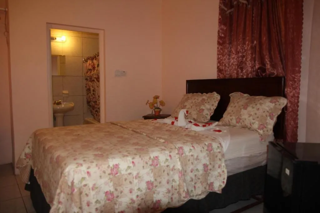 Executive Shaw Park Guest House-1