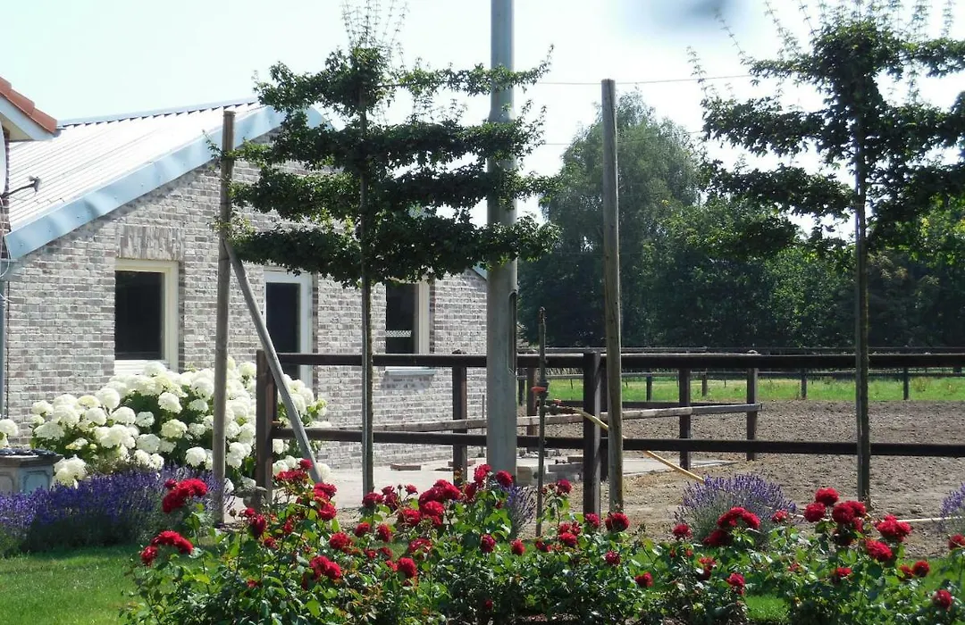 B&B De 7 Sprong-1