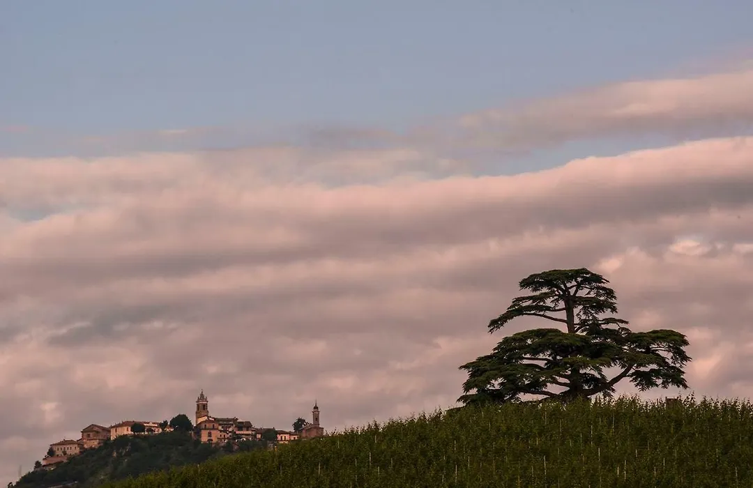 Villa Goccia di Vino-1