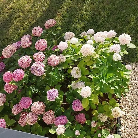 La Casa di Francesca B&B-2