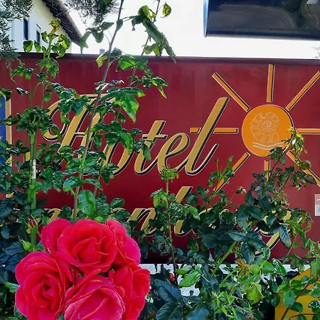 Hotel Gasthof Sonnenhang-3