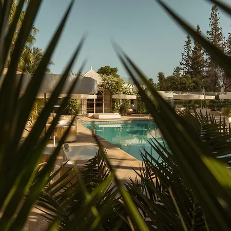 Les Palmiers Boutique Hotel & Spa-2
