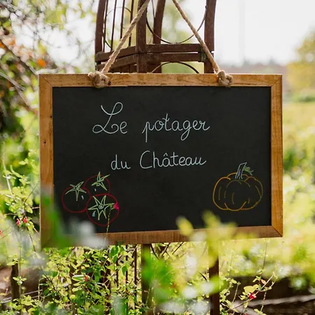 Château Pape Clément-3
