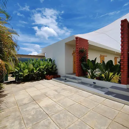 Tropicopia-3