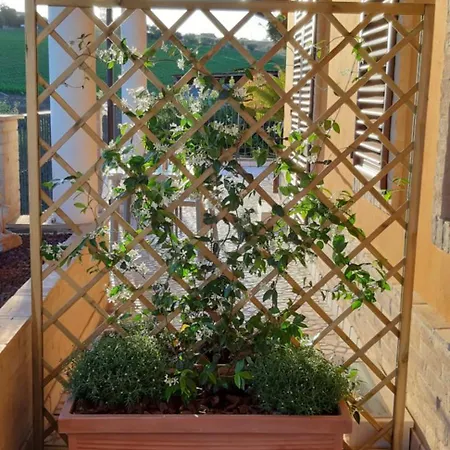 B&B Agrifoglio-3