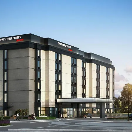 Springhill Suites By Marriott Gainesville Haymarket-3