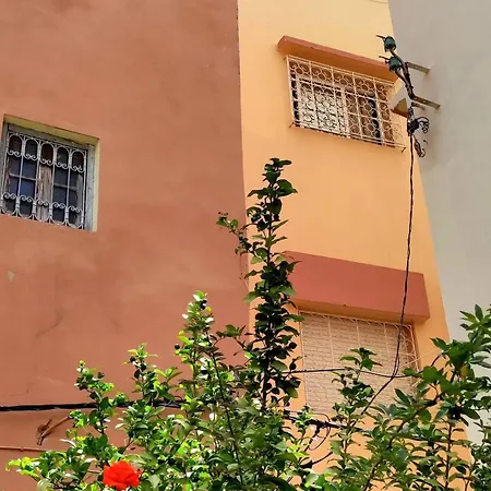 Maison Olga - Ancienne Medina-2