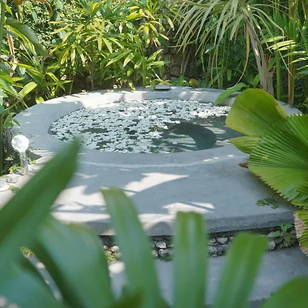 Liv Canggu - An Urban Sanctuary-3