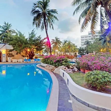 Oasis Palm-2
