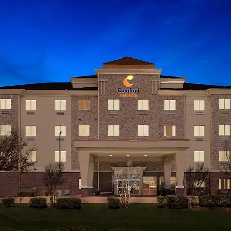 Comfort Suites Waxahachie - Dallas-3
