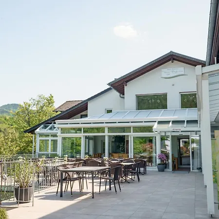 Pension Bergterrasse-2