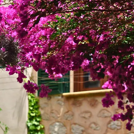 Hotel Casa Bougainvillea-3