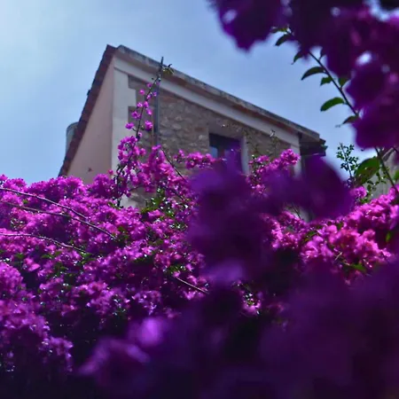 Hotel Casa Bougainvillea-2