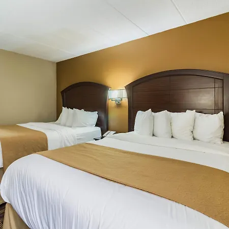 Quality Inn & Suites Arden Hills - Saint Paul North-3