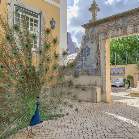 Heritage Solar Do Castelo Inn - Alfama-3