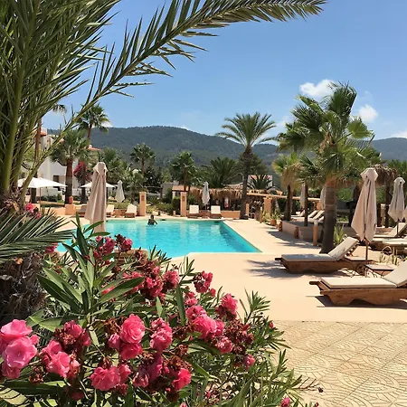 Petunia Ibiza-3