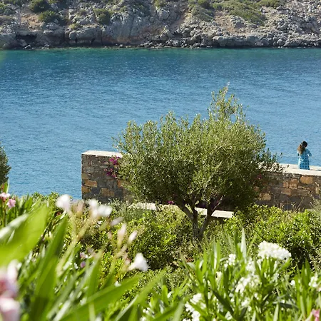Daios Cove-2
