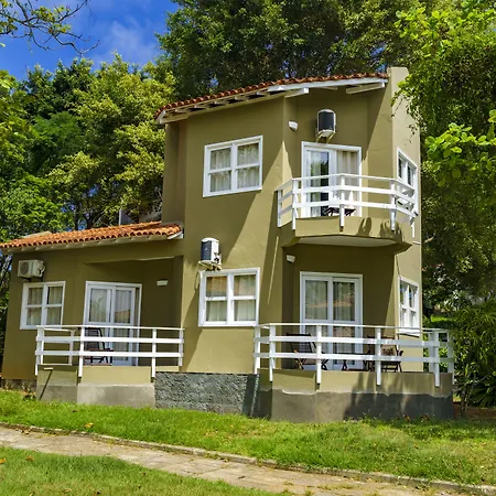 Apa Pau Brasil-2