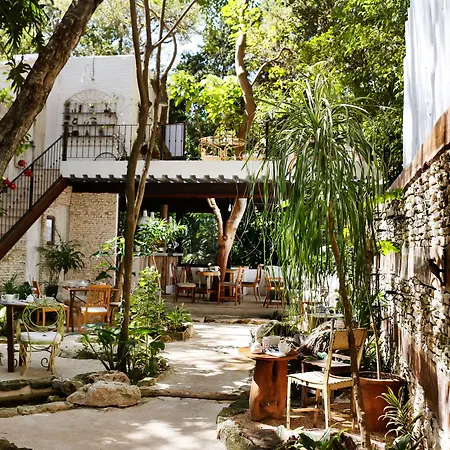 Hotel La Semilla A Member Of Design Hotels (Adults Only)-3