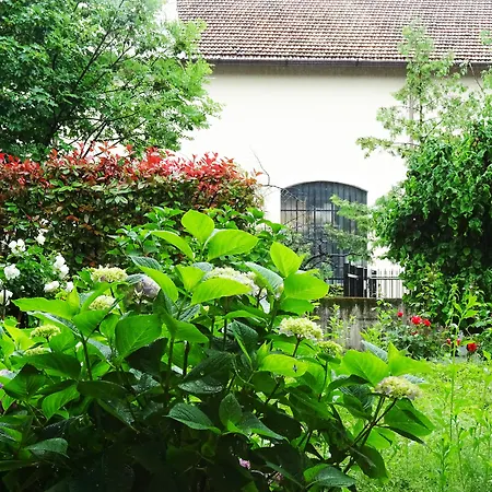Victoria Royal Garden-2
