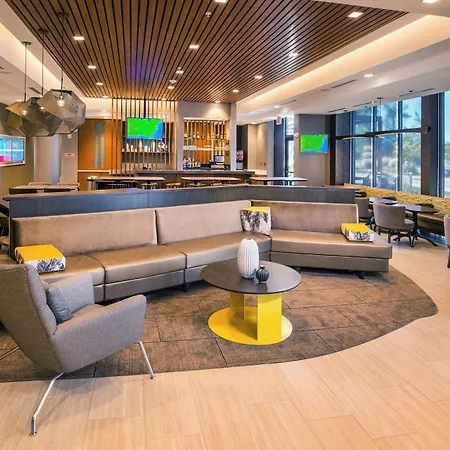 Springhill Suites By Marriott Gainesville Haymarket-2