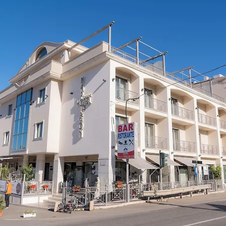 Hotel Napoleon-3