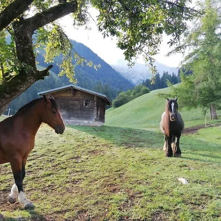 Au Pré des Chevaux-3
