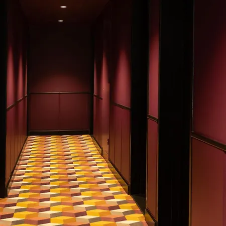 Hôtel Diana Dauphine-2