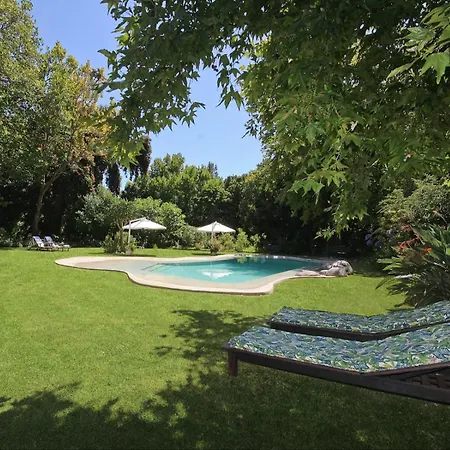 Beluga Of Constantia Guest House-2